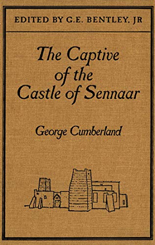 Imagen de archivo de The Captive of the Castle of Sennaar: An African Tale a la venta por Benjamin Books