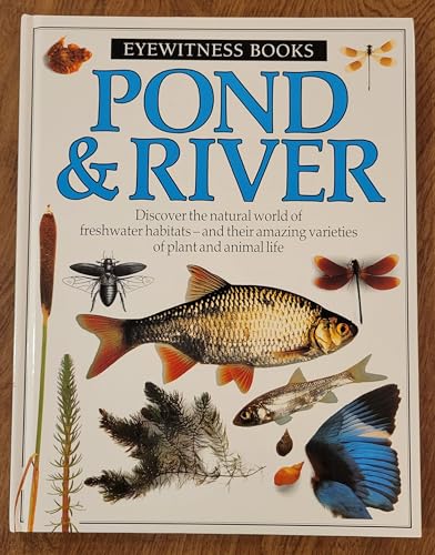 Beispielbild fr Pond and River : River zum Verkauf von Better World Books