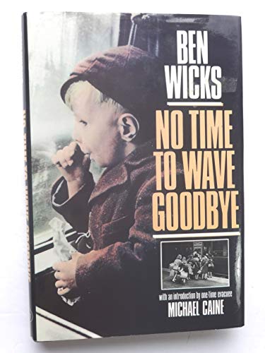 Stock image for No Time to Wave Goodbye for sale by Zoom Books Company