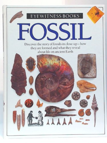 Stock image for Fossil (Eyewitness Books) for sale by ThriftBooks-Atlanta