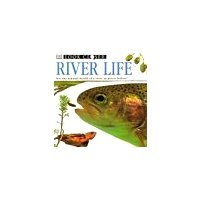 Stock image for River Life : A Close-Up Look at the Natural World of a River for sale by Better World Books