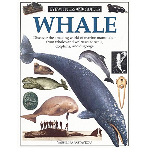 Stock image for Whale for sale by Russell Books