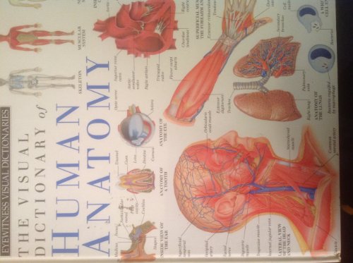 Stock image for THE VISUAL DICTIONARY OF HUMAN ANATOMY Eyewitness Visual Dictionaries DK (Eyewitness Visual Dictionaries) for sale by ThriftBooks-Atlanta