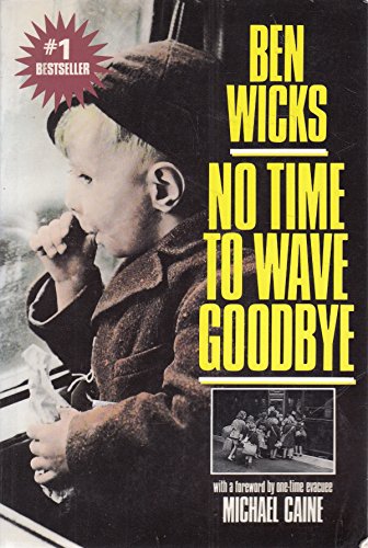 Stock image for No Time to Wave Goodbye for sale by Jenson Books Inc
