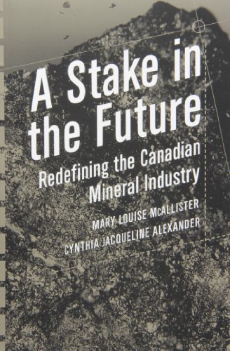 Imagen de archivo de A Stake in the Future : Redefining the Canadian Mineral Industry a la venta por Better World Books