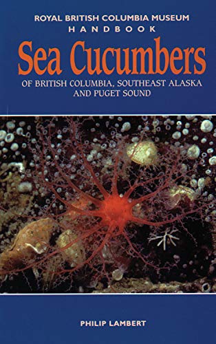 Stock image for Sea Cucumbers of British Columbia, Southeast Alaska and Puget Sound for sale by ThriftBooks-Atlanta