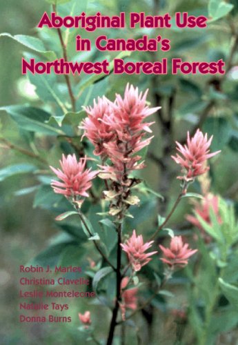 Imagen de archivo de Aboriginal Plant Use in Canada's Northwest Boreal Forest a la venta por Werdz Quality Used Books