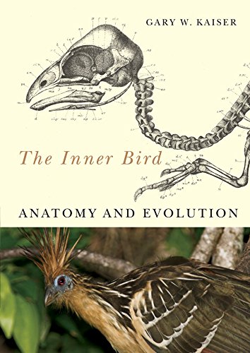 9780774813433: The Inner Bird: Anatomy and Evolution