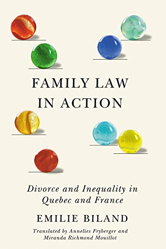 Beispielbild fr Family Law in Action Divorce and Inequality in Quebec and France zum Verkauf von Michener & Rutledge Booksellers, Inc.