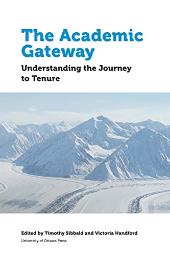 9780776624372: The Academic Gateway: Understanding the Journey to Tenure (Education)