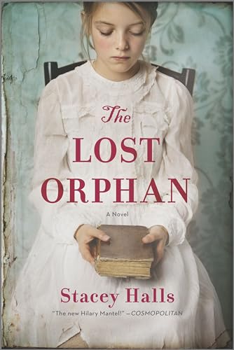 Stock image for The Lost Orphan A Novel for sale by SecondSale