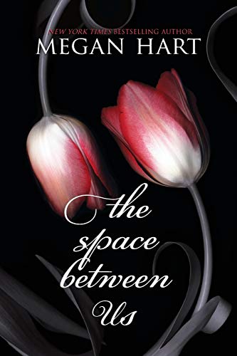 Beispielbild fr The Space Between Us zum Verkauf von Better World Books