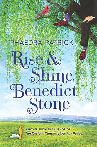 Beispielbild fr Rise and Shine, Benedict Stone: A Novel zum Verkauf von More Than Words