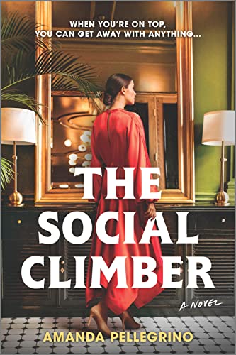 Beispielbild fr The Social Climber: A Novel zum Verkauf von BooksRun