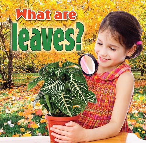 9780778700173: What Are Leaves?