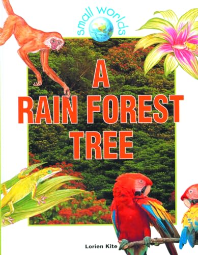 Imagen de archivo de A Rain Forest Tree (Small Worlds) a la venta por Your Online Bookstore