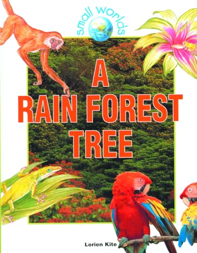 9780778701323: A Rain Forest Tree (Small Worlds)
