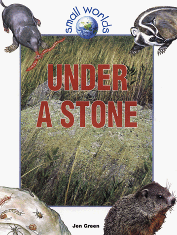 Beispielbild fr Under a Stone zum Verkauf von Better World Books