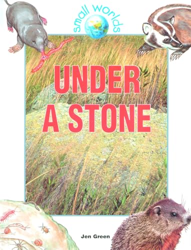 9780778701378: Under a Stone (Small Worlds)