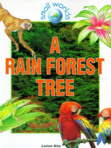 Stock image for A Rain Forest Tree (Small Worlds) for sale by Wonder Book