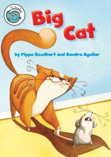 Imagen de archivo de Big Cat a la venta por Better World Books