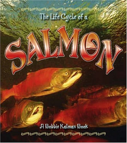 Stock image for The Life Cycle of a Salmon for sale by SecondSale