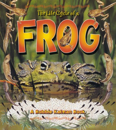 Beispielbild fr The Life Cycle of a Frog zum Verkauf von Better World Books: West