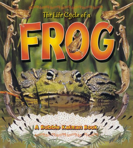 Imagen de archivo de The Life Cycle of a Frog a la venta por Better World Books: West