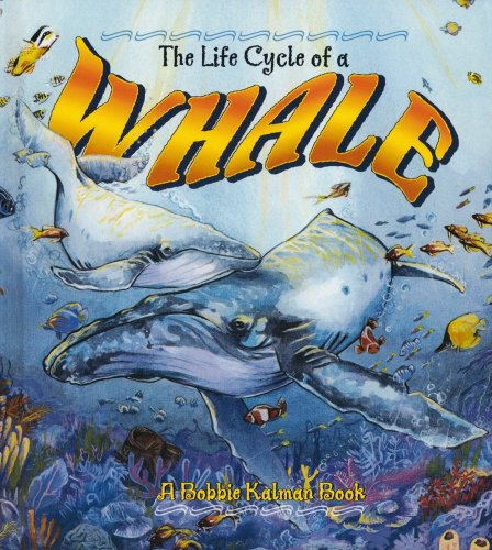 Stock image for The Life Cycle of a Whale for sale by Better World Books: West