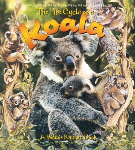 Stock image for The Life Cycle of a Koala for sale by SecondSale