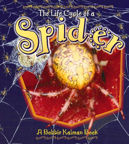 Stock image for The Life Cycle of a Spider for sale by ZBK Books