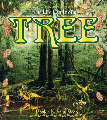 Stock image for The Life Cycle of a Tree for sale by Better World Books: West