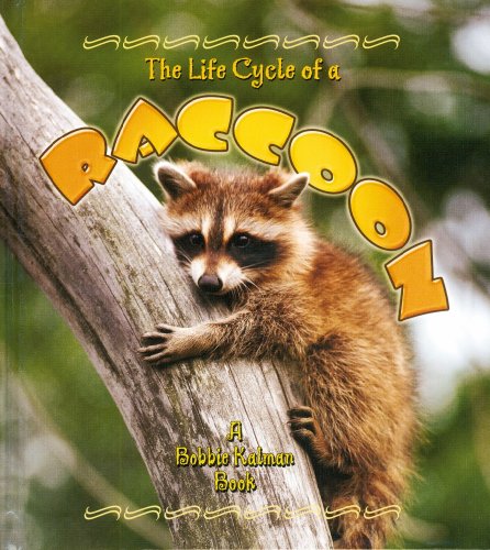Imagen de archivo de The Life Cycle of a Raccoon a la venta por Better World Books: West