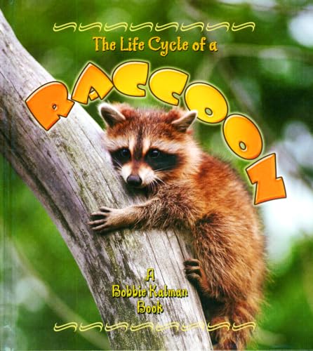 9780778706618: The Life Cycle of a Raccoon