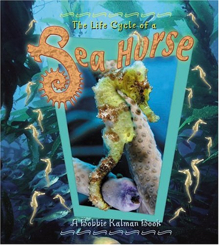 Imagen de archivo de The Life Cycle of a Sea Horse a la venta por Better World Books