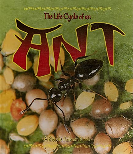 Stock image for The Life Cycle of an Ant for sale by Better World Books