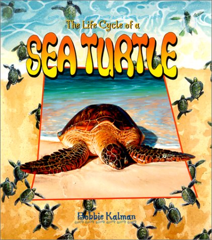 Immagine dell'editore per The Life Cycle of a Sea Turtle venduto da BooksRun