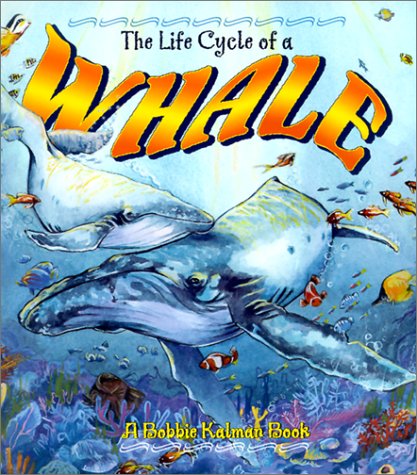 Stock image for The Life Cycle of a Whale for sale by Your Online Bookstore