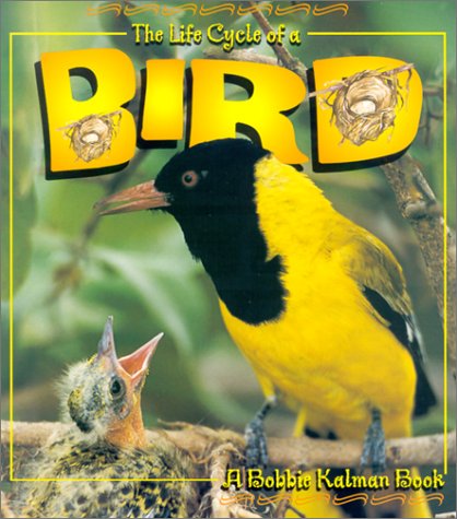 Imagen de archivo de The Life Cycle of a Bird (Bobbie Kalman Books (Paperback)) a la venta por SecondSale