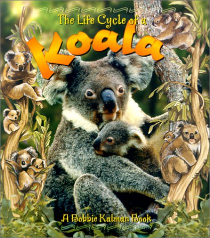 Beispielbild fr The Life Cycle of a Koala zum Verkauf von BooksRun