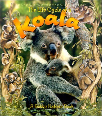 Stock image for The Life Cycle of a Koala for sale by BooksRun