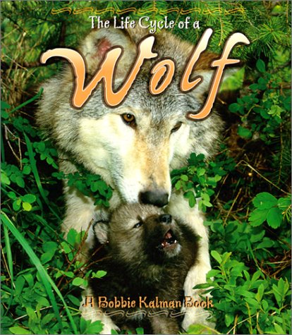 Imagen de archivo de The Life Cycle of a Wolf a la venta por Better World Books