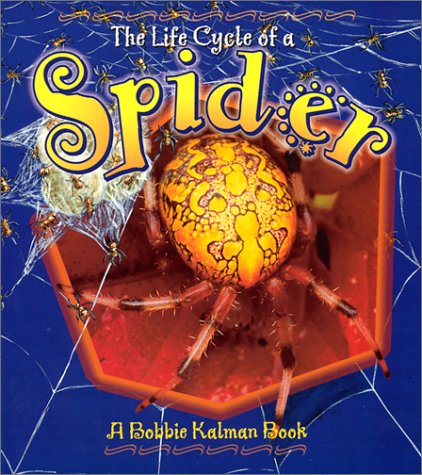 Beispielbild fr The Life Cycle of a Spider zum Verkauf von Gulf Coast Books