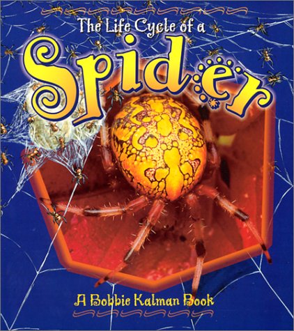 Stock image for Spider (Life Cycle of A.(Paperback)) for sale by SecondSale