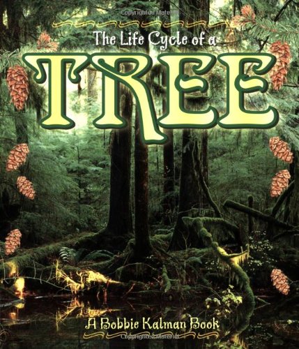 Imagen de archivo de The Life Cycle of a Tree a la venta por Gulf Coast Books