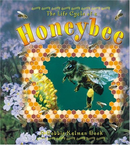 Beispielbild fr The Life Cycle of a Honeybee zum Verkauf von Wonder Book