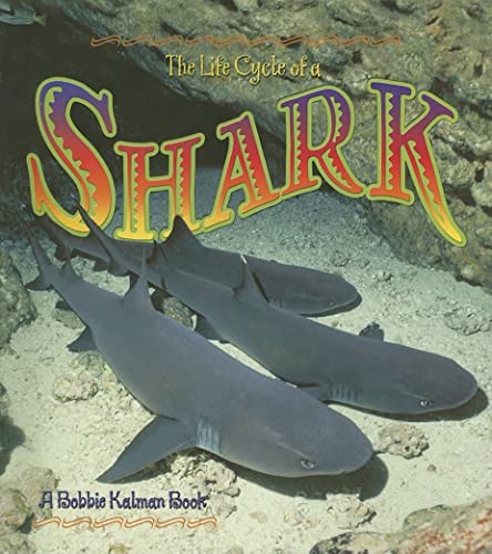 Stock image for The Life Cycle of a Shark for sale by Gulf Coast Books