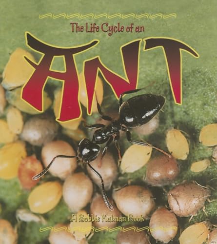 Stock image for The Life Cycle of an Ant for sale by BooksRun