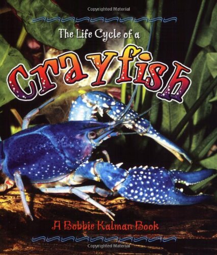 Imagen de archivo de The Life Cycle of a Crayfish a la venta por Goodwill of Colorado