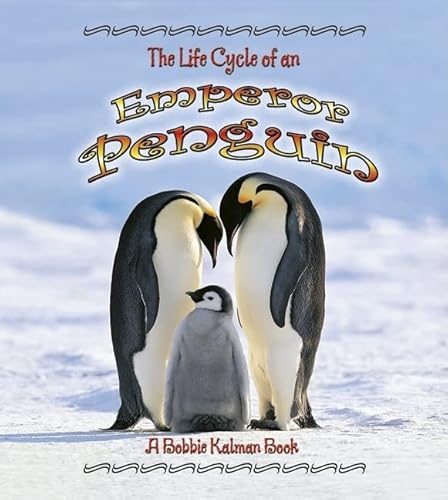 Imagen de archivo de The Life Cycle of an Emperor Penguin a la venta por SecondSale